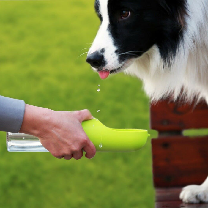 Travel Fountain For Pet Dog And Cat with Water Filter